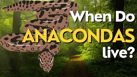 「The Anaconda」的驚悚冒險：探討巴西十六世紀民間故事中的自然力量與人類膽量！